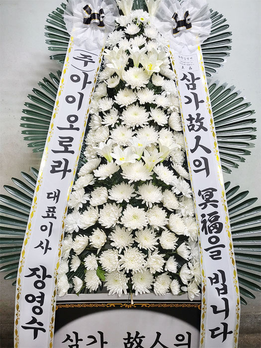 ST-FB233
