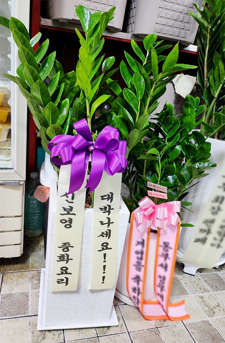 ST-D569