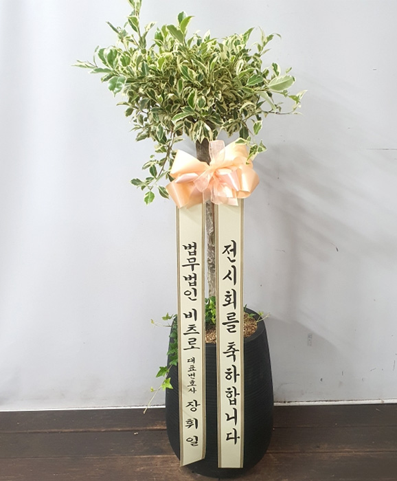ST-D526