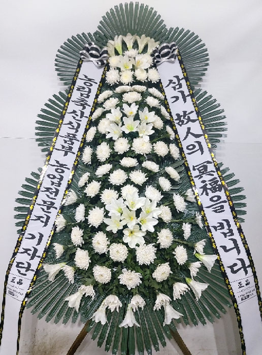 ST-FB226