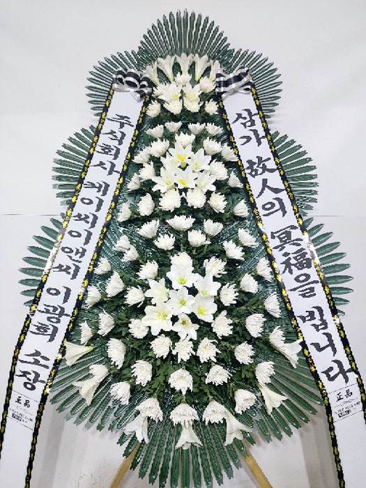 ST-FB226