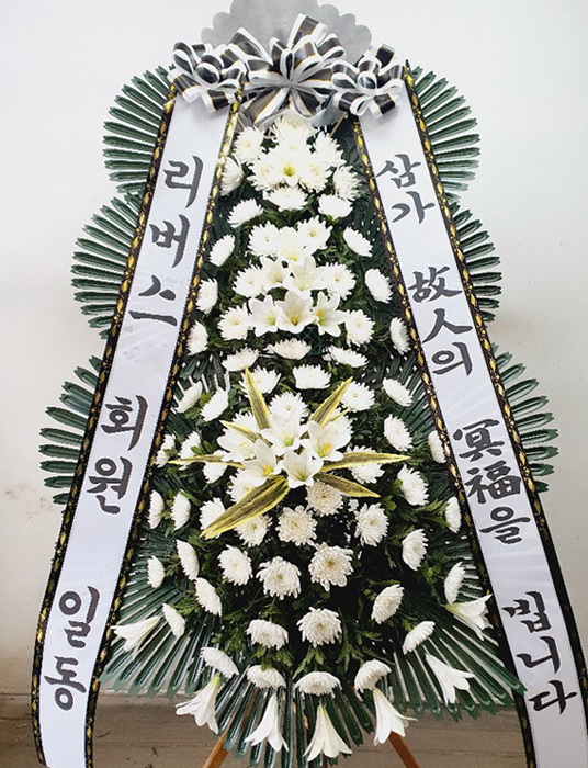 ST-FB226