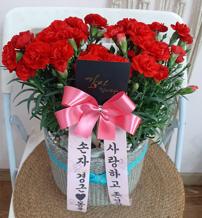 ST-D689