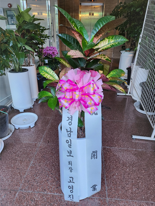 ST-D382