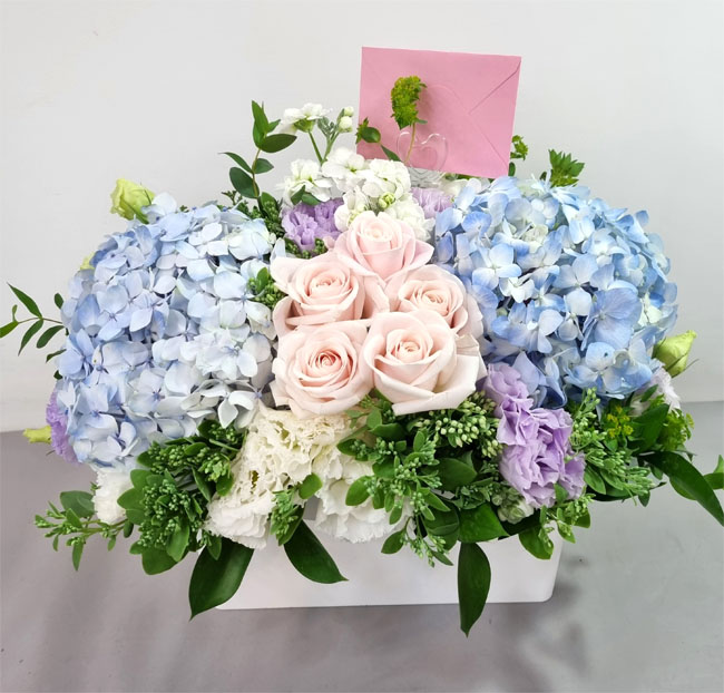ST-A1661