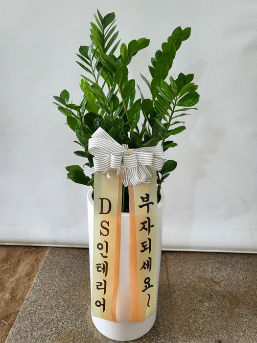 ST-D569