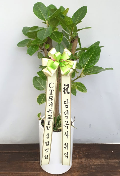 ST-D705