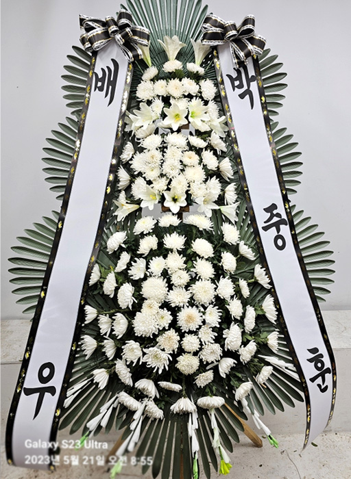 ST-FB233