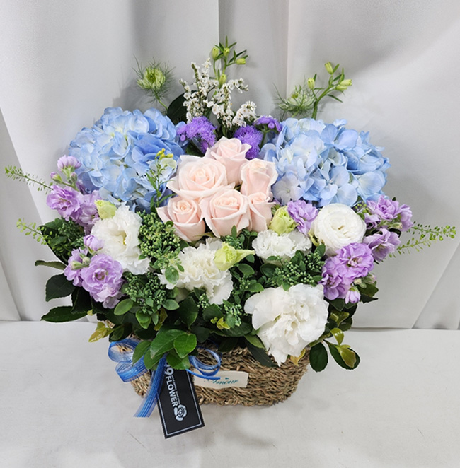 ST-A1661