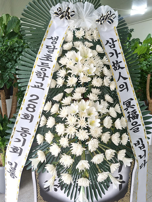 ST-FB226