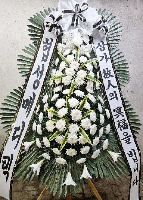 ST-FB233