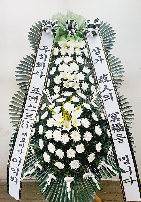 ST-FB226