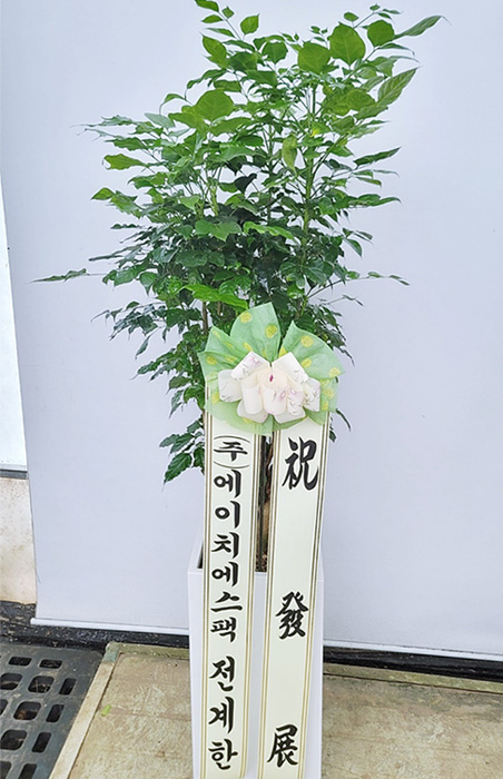 ST-D571