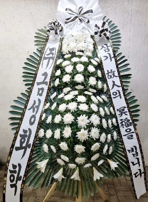 ST-FB233