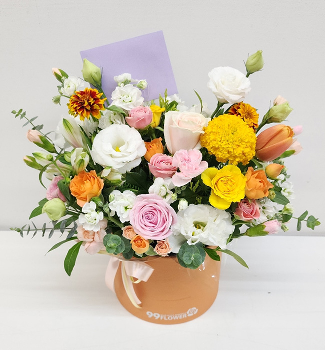 ST-B425
