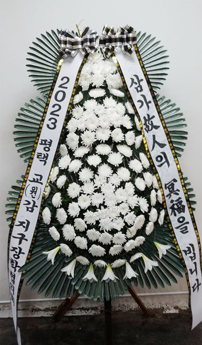 ST-FB233