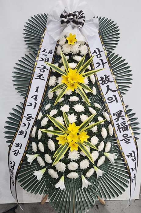 ST-FB154