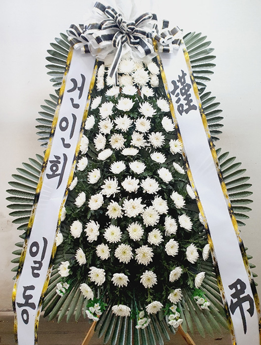 ST-FB162