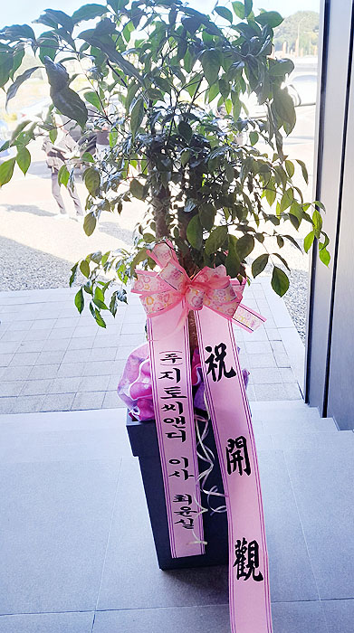 ST-D202