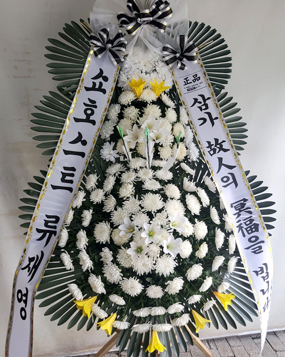 ST-FB233