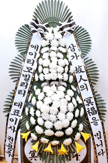 ST-FB233