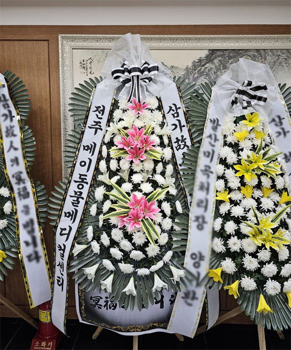 ST-FB141