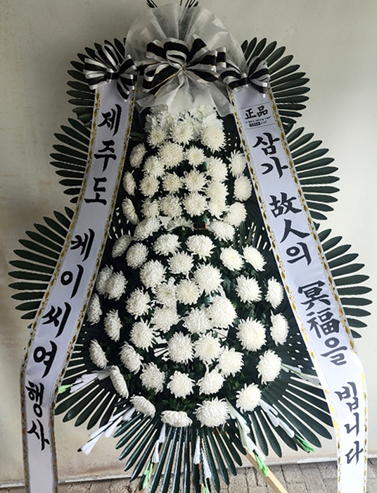 ST-FB233