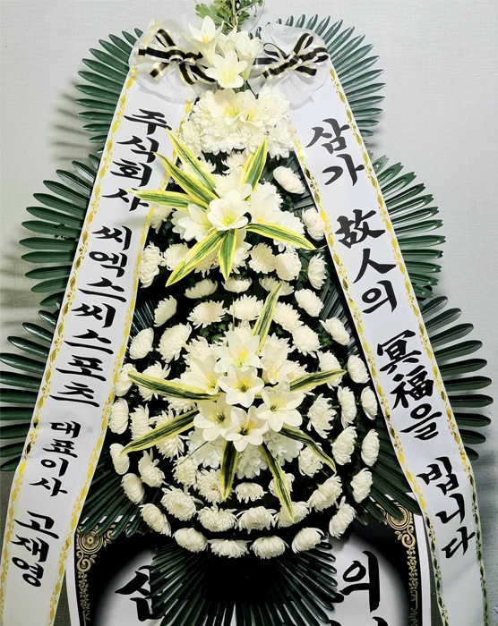 ST-FB226