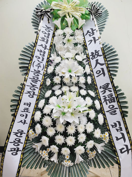 ST-FB226
