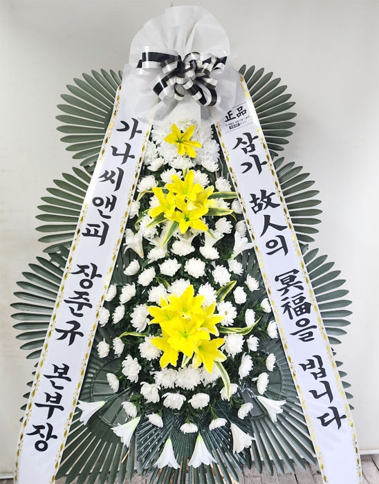 ST-FB154