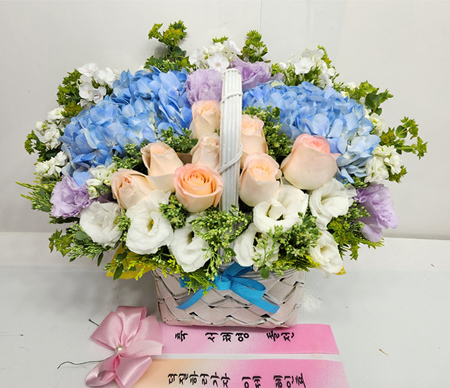 ST-A1661
