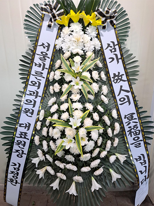 ST-FB226