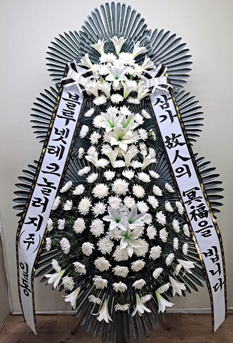ST-FB233