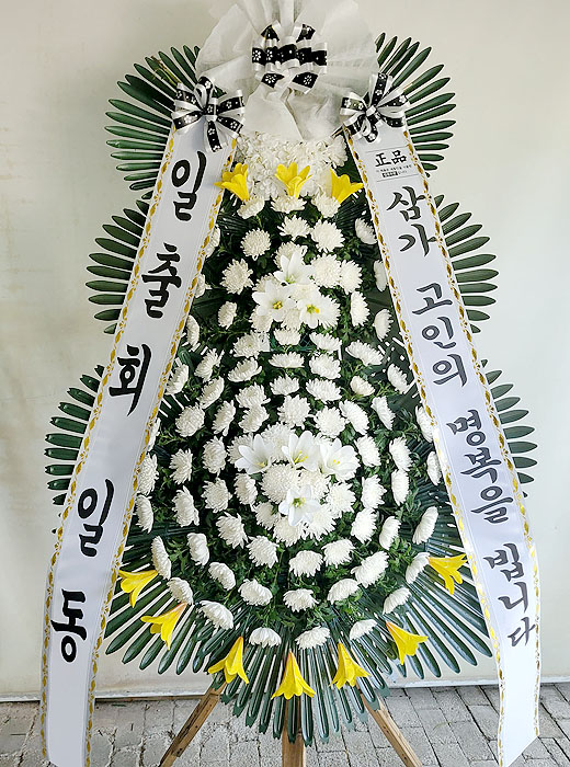 ST-FB226