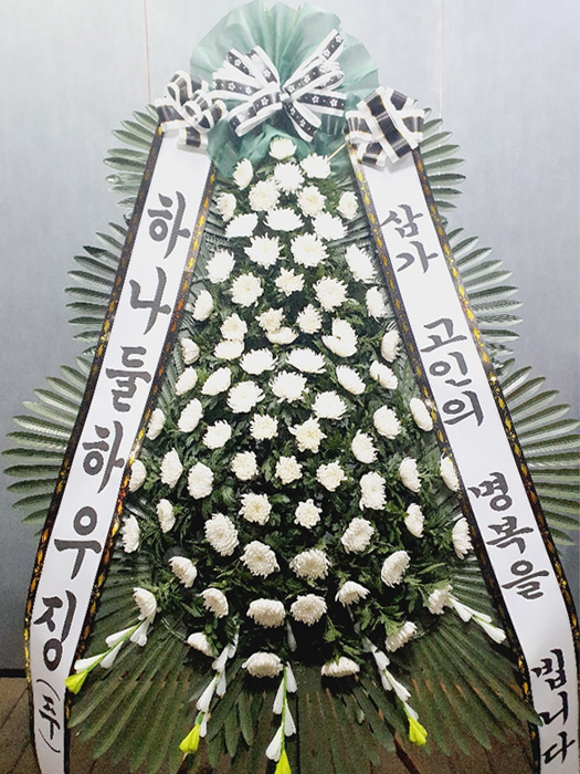 ST-FB233