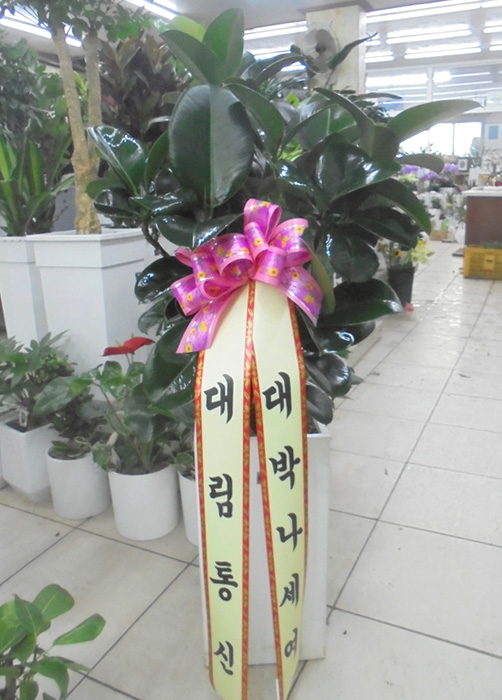 ST-D506