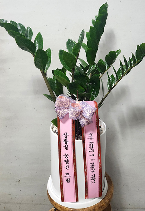 ST-D725