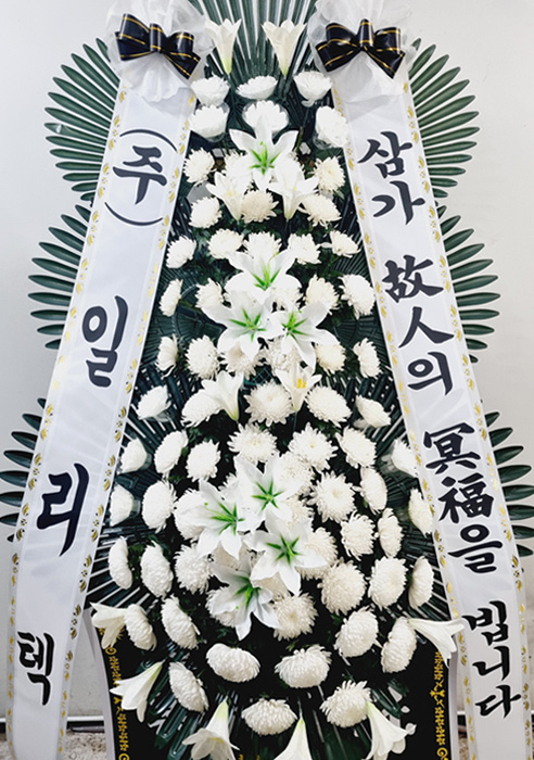 ST-FB233