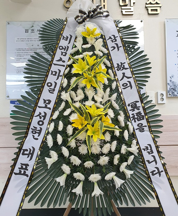 ST-FB226