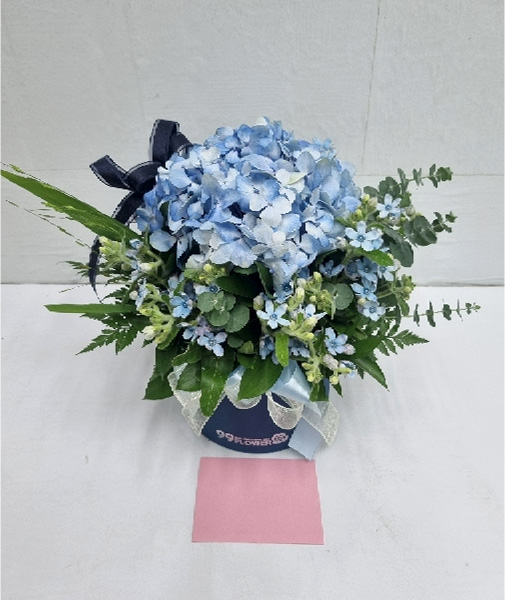 ST-B423