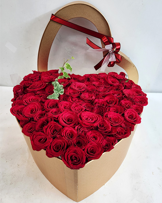 ST-B248