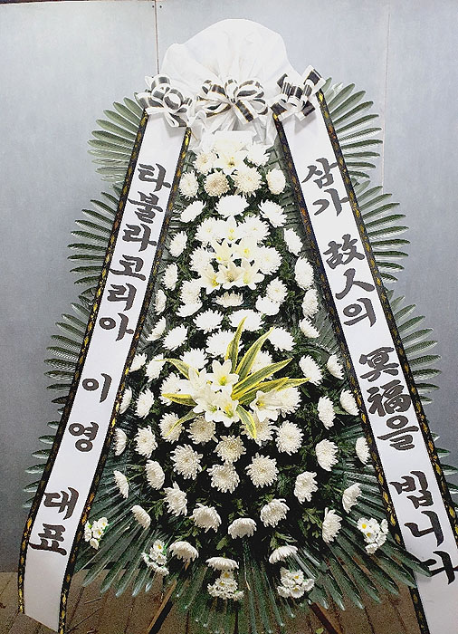 ST-FB226