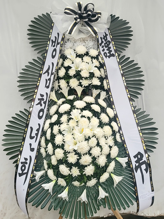 ST-FB229