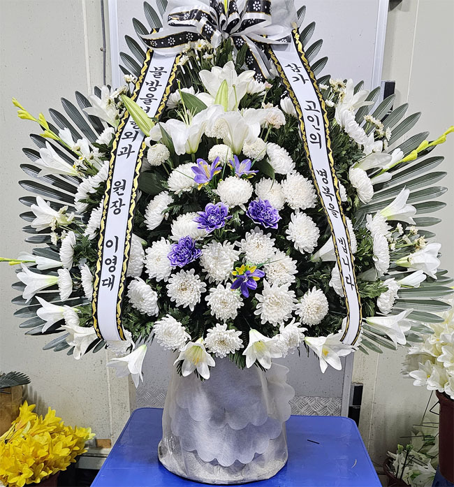 ST-FB255