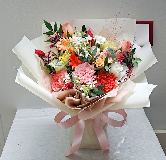 ST-C559
