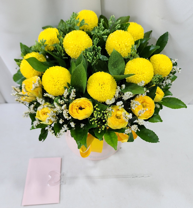 ST-B499