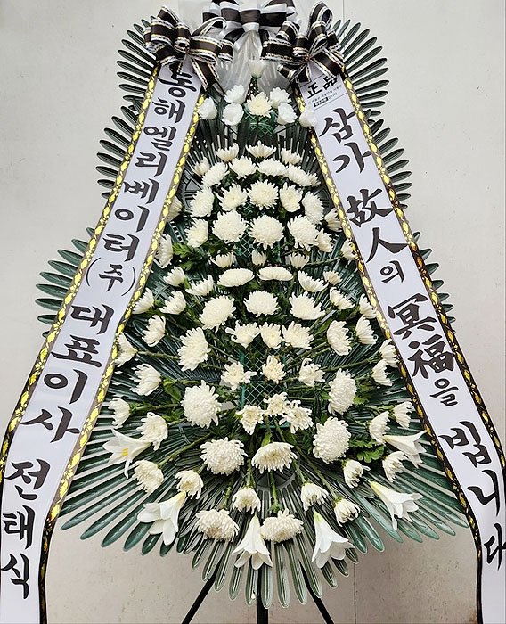 ST-FB233