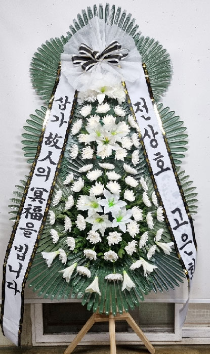 ST-FB233