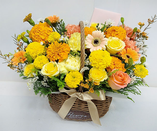 ST-A2001