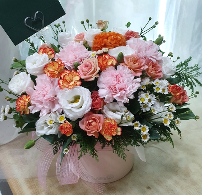 ST-B429